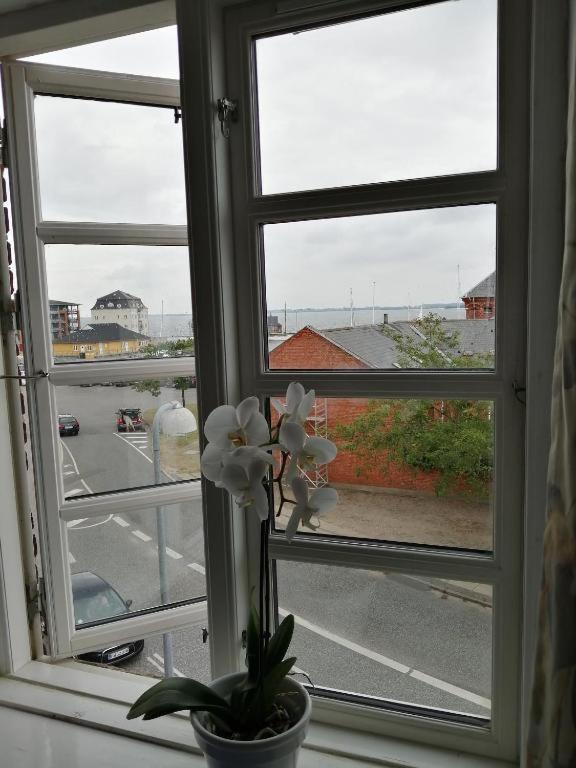 Det Gamle Hotel Rudkøbing Buitenkant foto